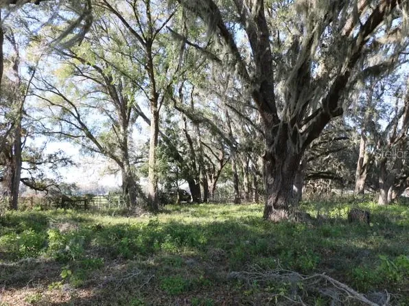 48 Cr, Bushnell, FL 33513