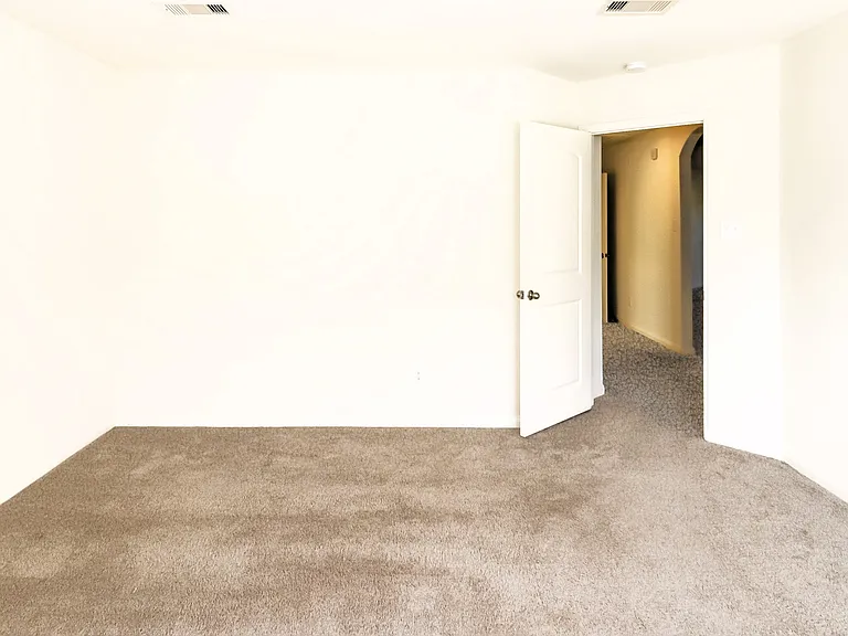 1110 Rare Fancy Dr — Photo 11