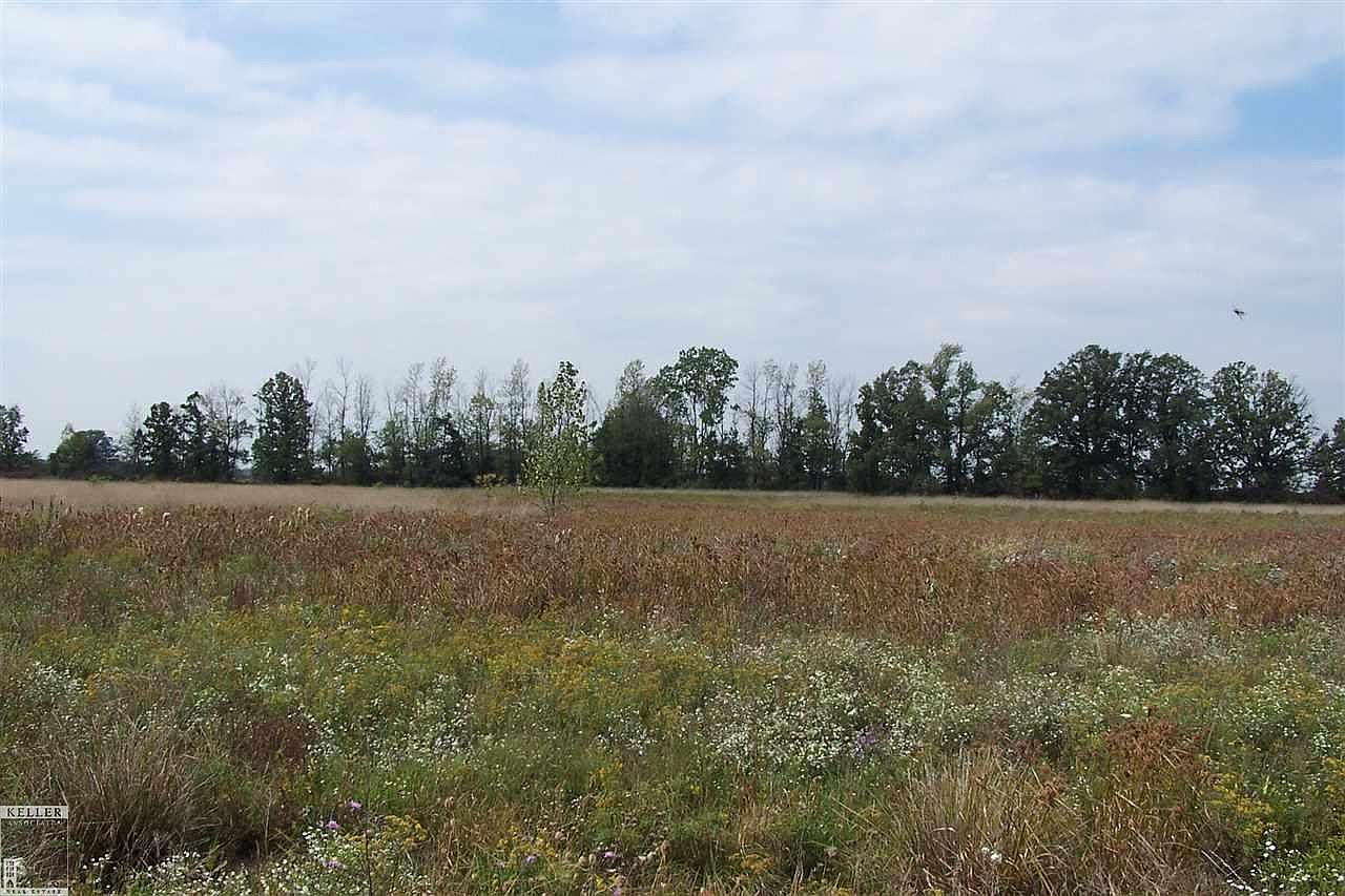 PARCEL One Ray Ln I, Imlay City, MI 48444 Zillow