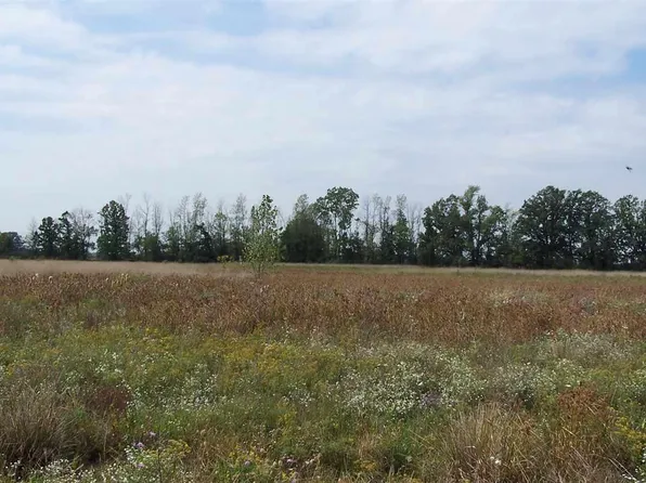 PARCEL One Ray Ln #I, Imlay City, MI 48444