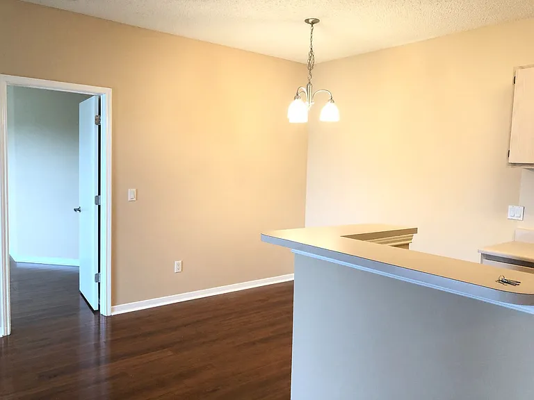 717 Secret Harbor Ln #313 — Photo 6