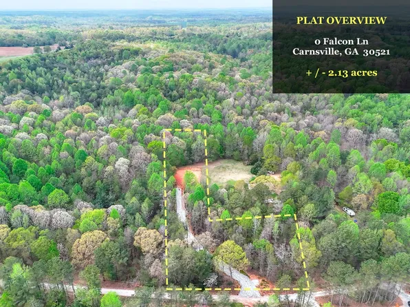 0 Falcon Ln, Carnesville, GA 30521