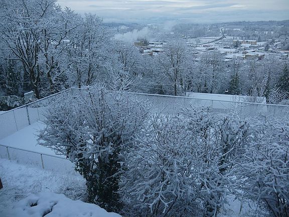 winter view