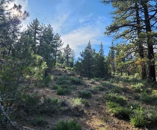 5th image of Cheney Creek Rd