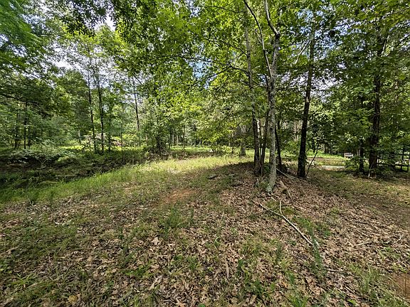 5th image of 297 Rock Springs Midland Rd