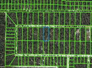 2207 Lantana Ave, Sebring, FL 33875