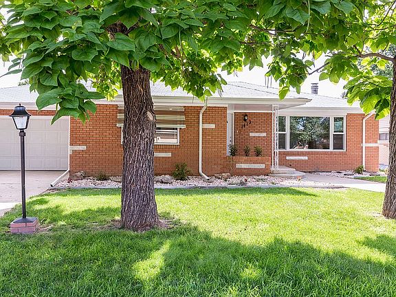 Mature Shade Trees