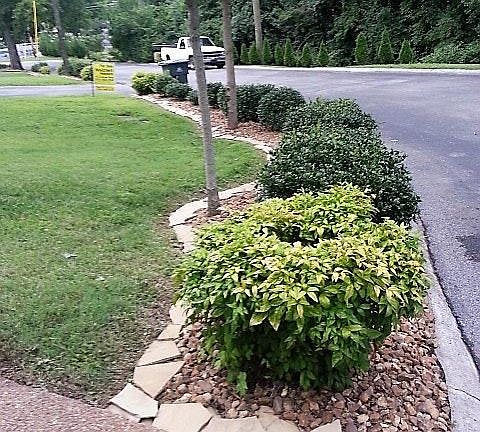 Front curb