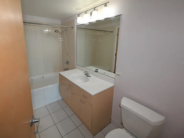 1845 S Michigan Ave #1402 — Photo 11