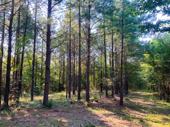 0 Highway 232 Lot 74, Dover, TN 37058