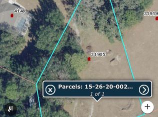 31905 Glenhollow Rd, Wesley Chapel, FL 33543