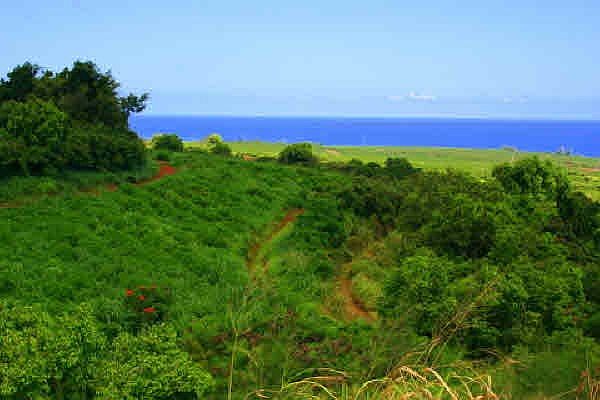 1st image of Kakela Makai Dr Lot 13