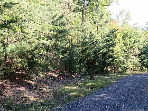 2nd image of Tbd Birds Nest Rd
