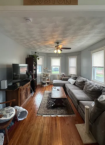 21 Elmore Ave #1 Photo 1