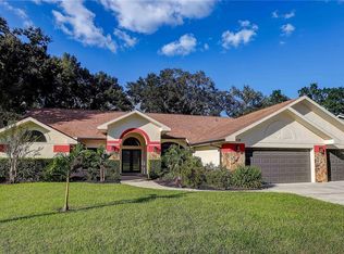 3929 Buckingham Loop Dr, Valrico, FL 33594