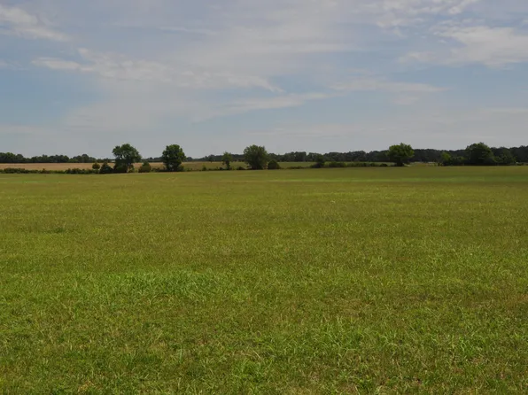 Tract 1 Delzell Woods Road, Rogersville, MO 65742