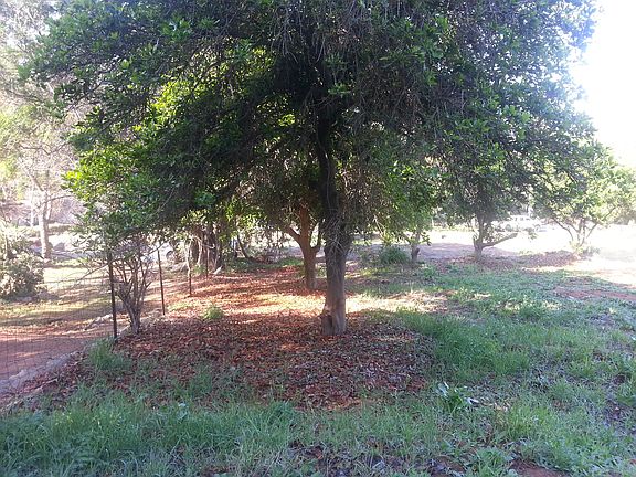 3rd image of 9380 Alto Drive - Parcel 2