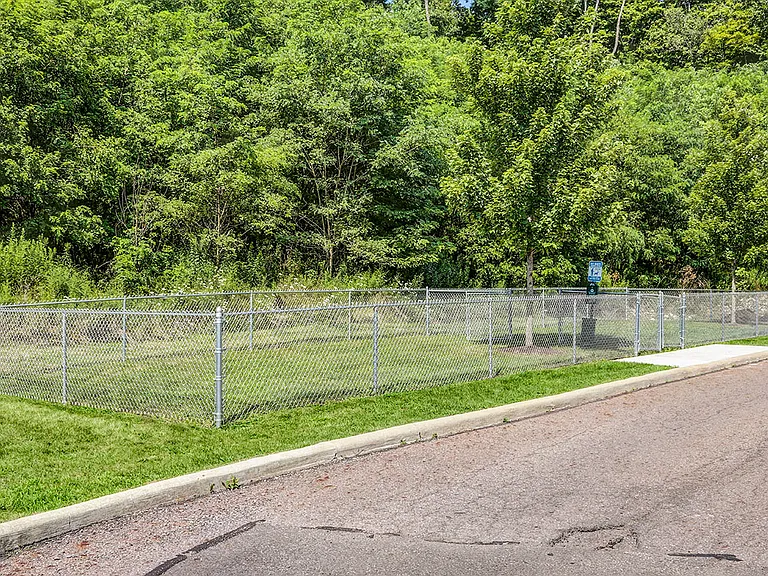 Dog park