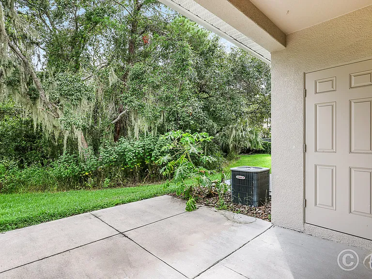 15807 Fishhawk Falls Dr — Photo 15