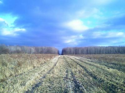 Dewey, Thompson, OH, 44086