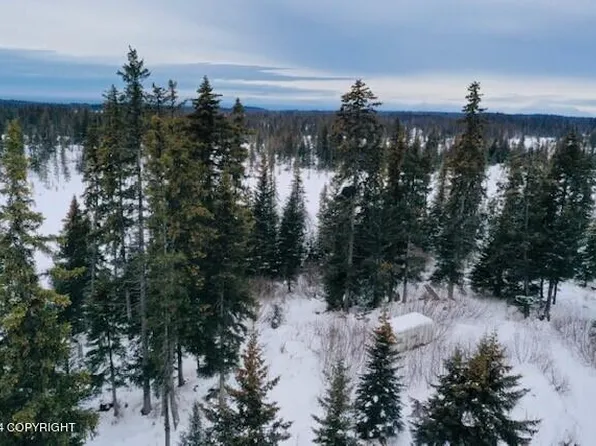 37467 Rascal Ln, Anchor Point, AK 99556
