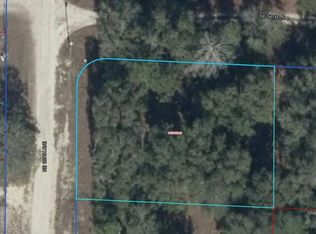 06721-010-00 NE 139th Ave Lot 1, Williston, FL 32696