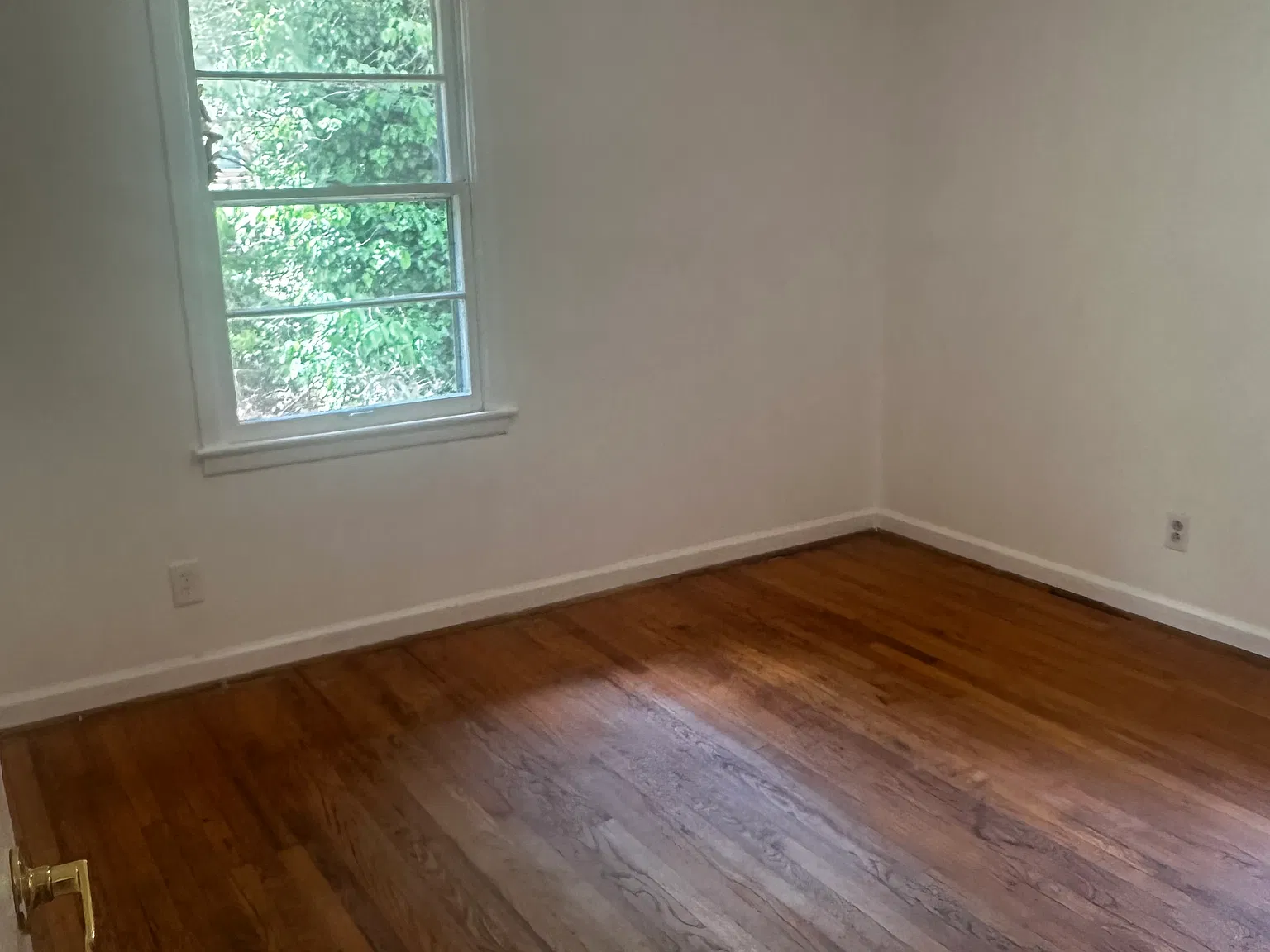 3 bed, 1240 sqft, $1,495 — Photo 3
