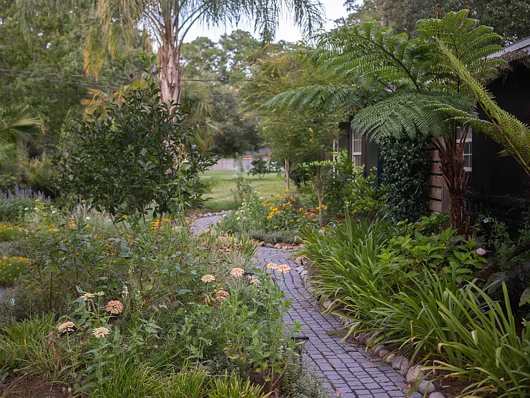 pathway to side of house where cans are stored