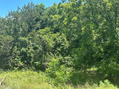 Peninsula Dr, Bluff Dale, TX, 76433