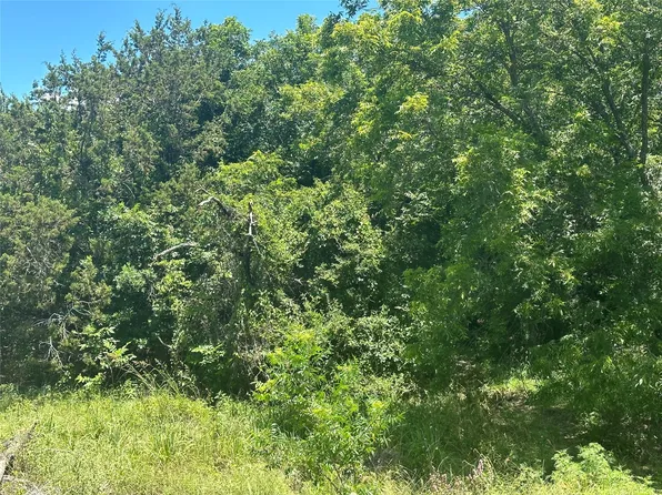Peninsula Dr, Bluff Dale, TX 76433