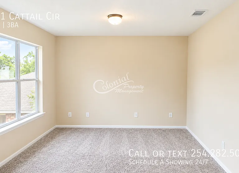 711 Cattail Cir — Photo 7