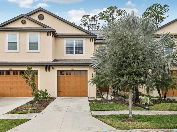 11467 Cay Spruce Way, San Antonio, FL 33576