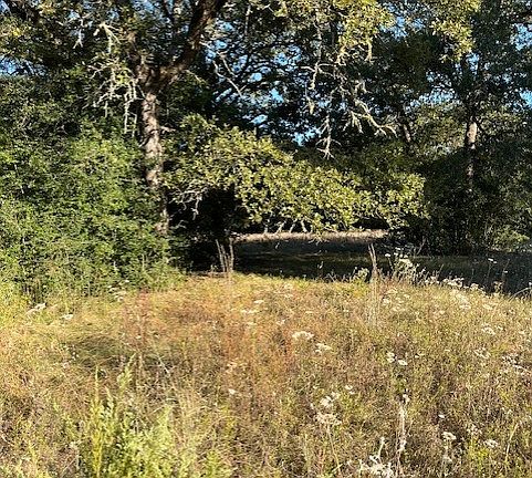 5th image of County Road 316