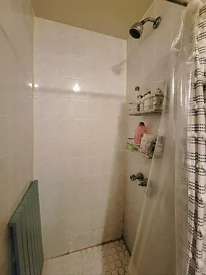 Rented by AZ REALTY NYC LLC | media 8