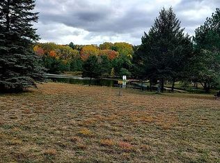 6480 Rondo Rd, Wolverine, MI 49799