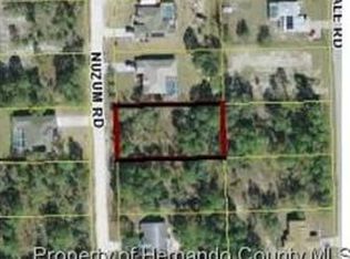 8150 Nuzum Rd, Weeki wachee, FL 34613