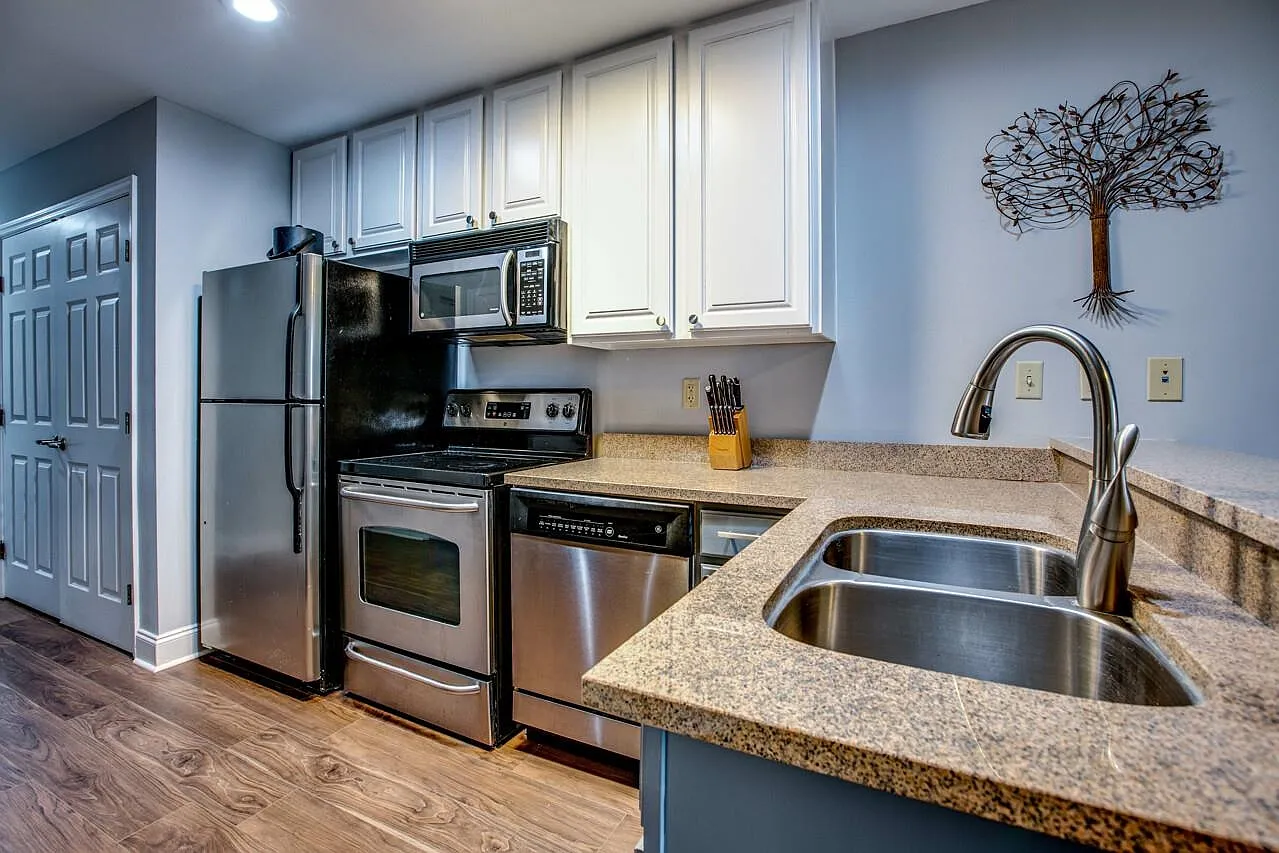 1 bed, 667 sqft, $2,000 — Photo 3
