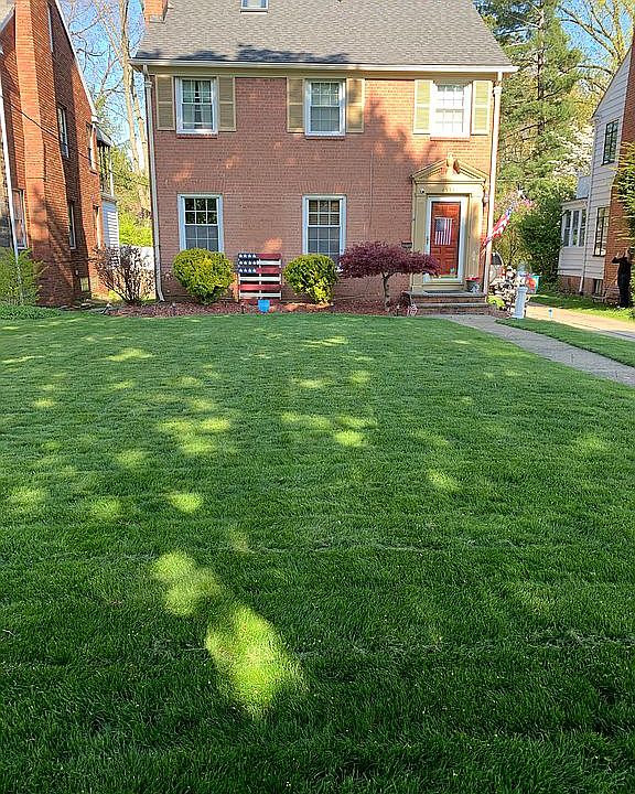 Front Yard 1