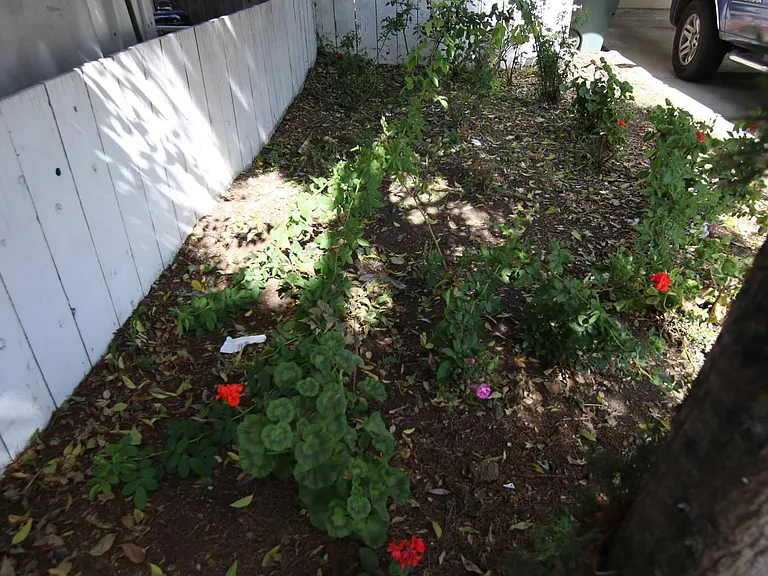 3271 Alma St — Photo 63