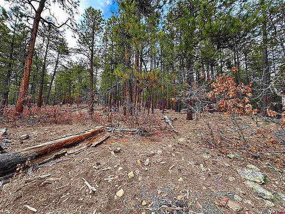 4th image of 183 Timber Drive