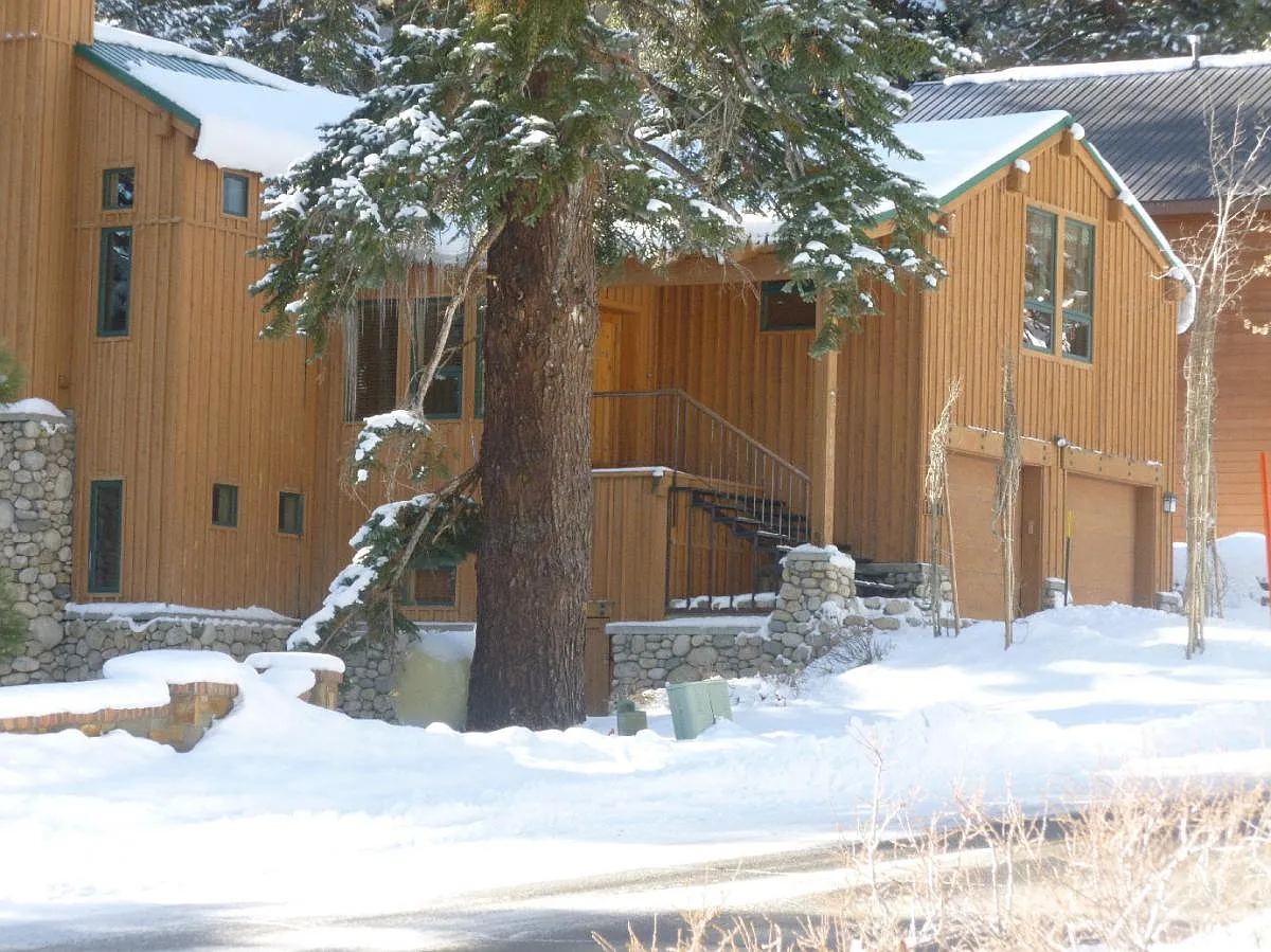 1241 Forest Trail — Photo 1