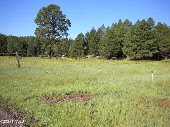6090 Big Game Trl #18, Flagstaff, AZ 86005