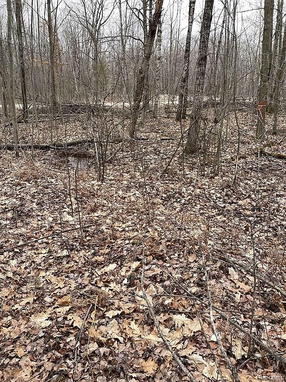 0 S Lakeside Trl, Shepherd, MI 48883 MLS 20230031732 Zillow