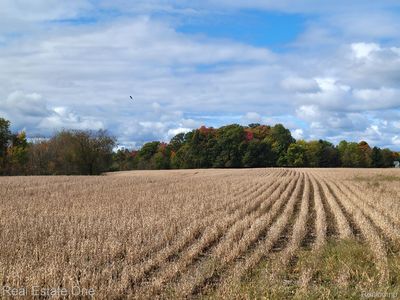 2 N Blacks Corners Rd, Imlay City, MI, 48444