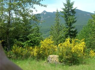 115 Ridge Ln, Packwood, WA 98361