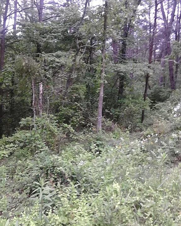 2nd image of 2046 Iowa Dr