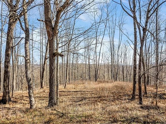 2nd image of 0 Forest Cir