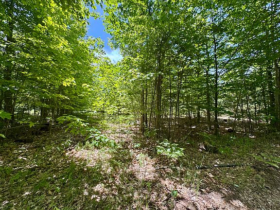 3rd image of Par 5 Needles Rd