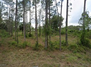 2121 Scott Ave, Alva, FL 33920