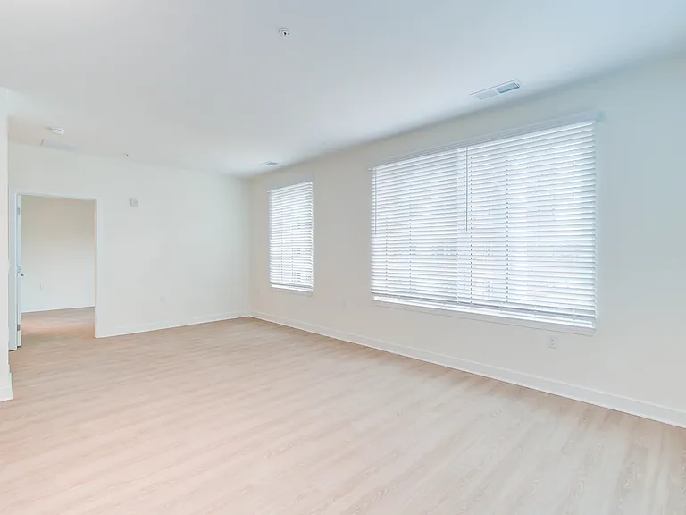 Expansive Open Kitchen With Large Living/Dining Area